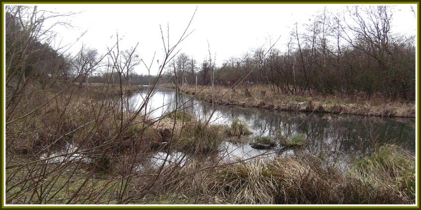 Les Marais d' Isle - St-Quentin (02)