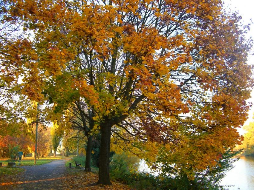 Belles couleurs