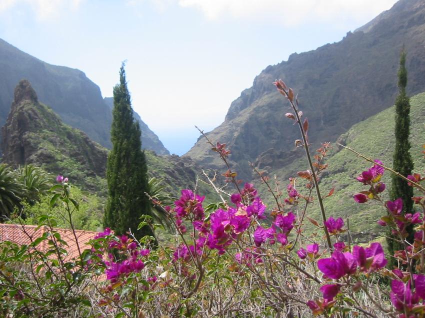 Valle de Masca (Tnrife)