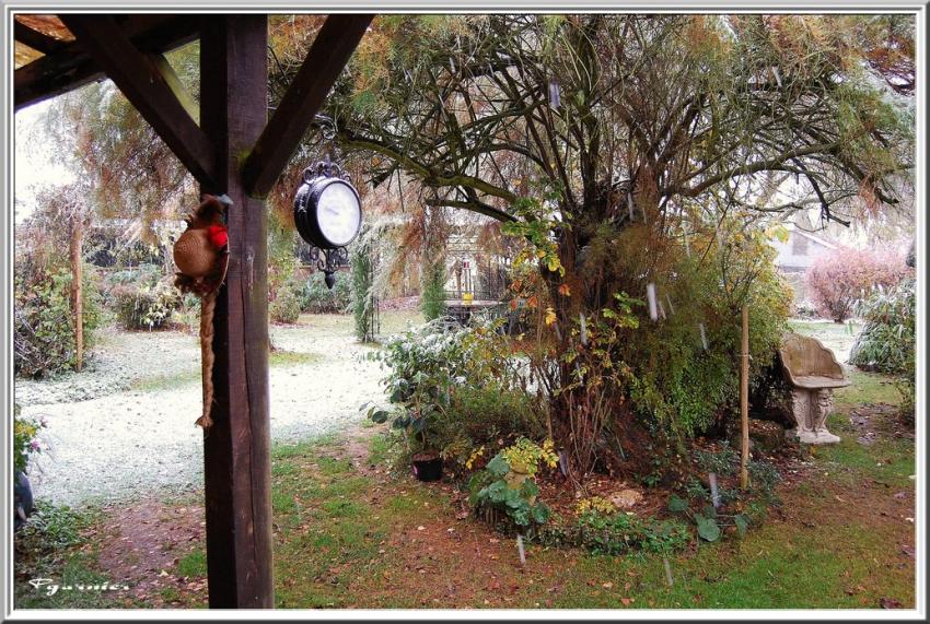 Jardin sous la neige.