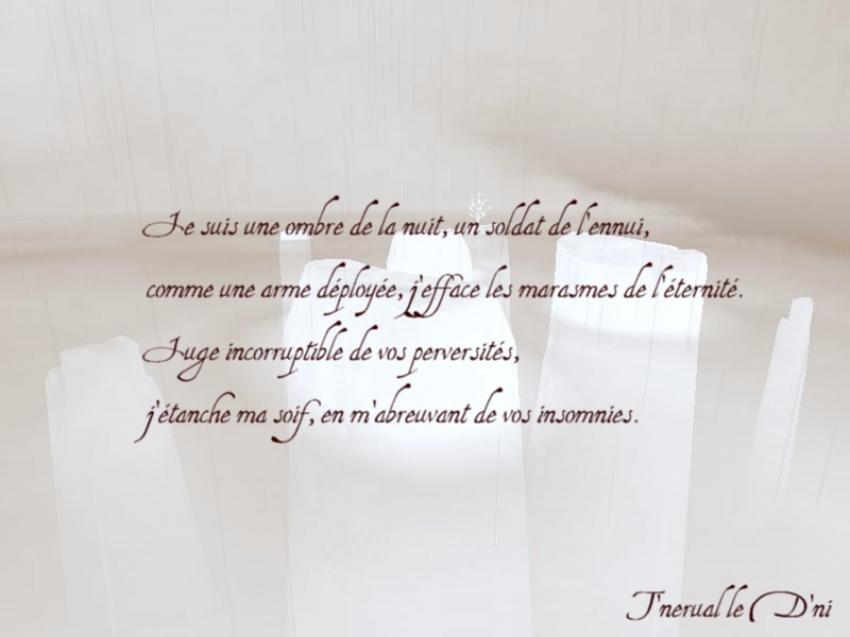 Ombres de la Nuit