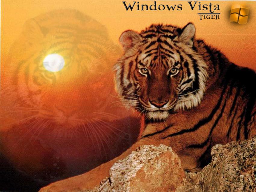 Windows Vista | Theme TIGER