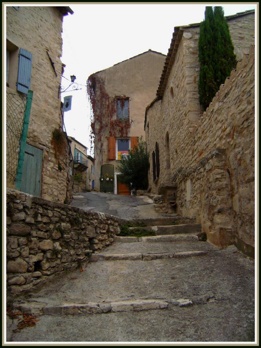 Dauphin (04)