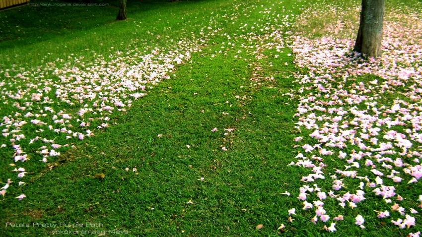 Petal's Pretty Purple Path