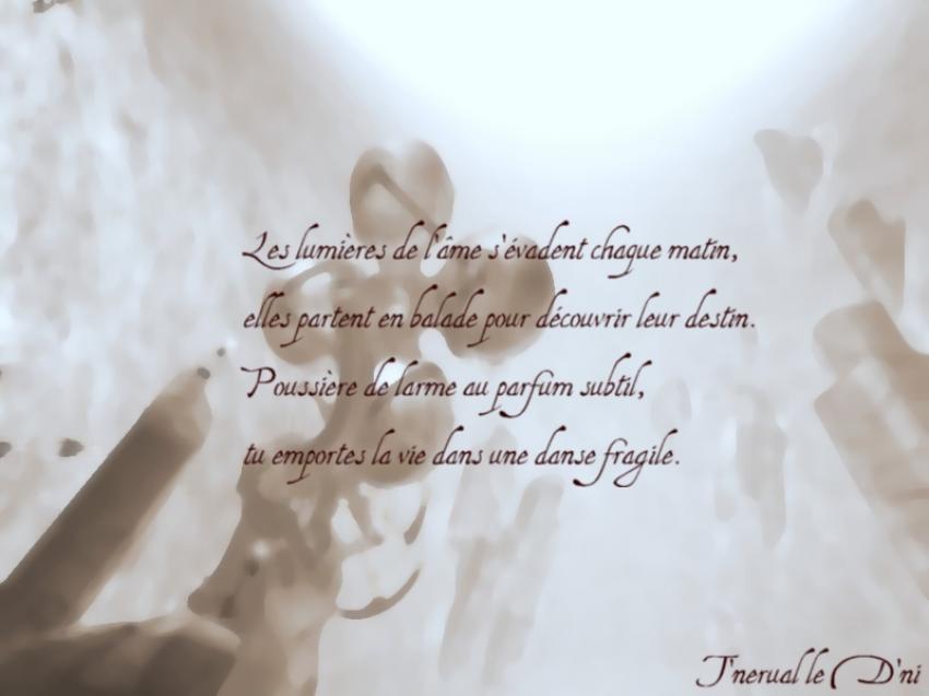 Les Lumires de l'me