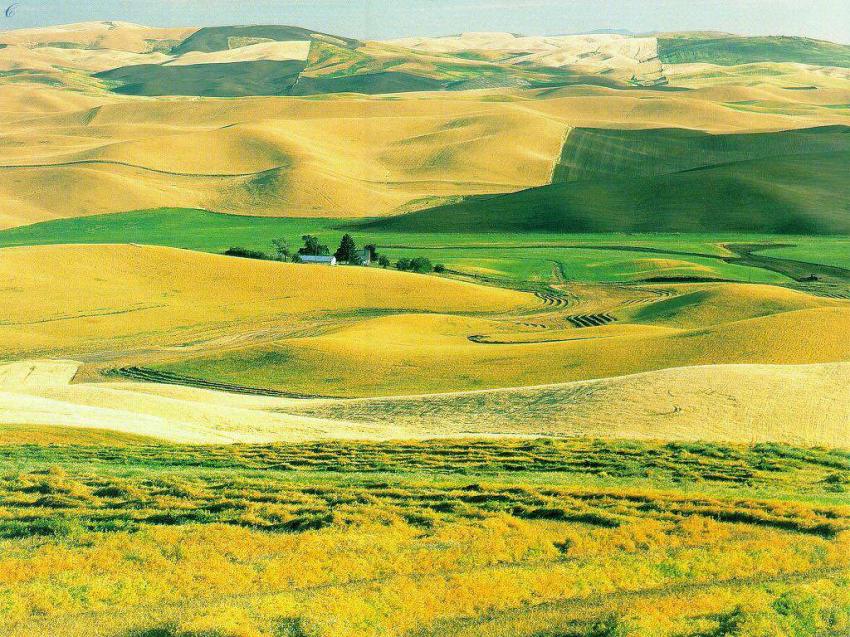 Campagne