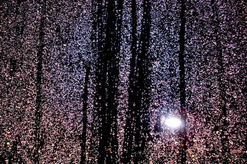 Crystal Rain