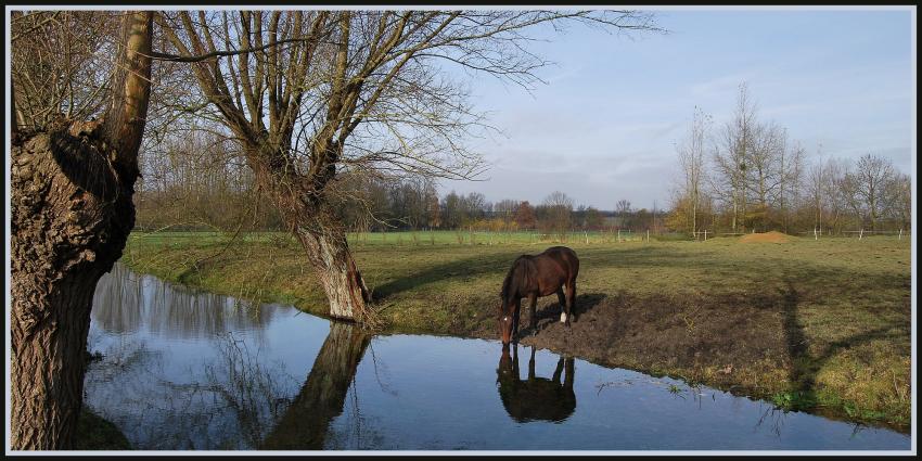 La Somme  200m de sa source