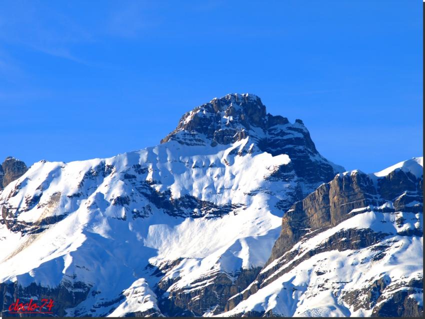 la pointe perc