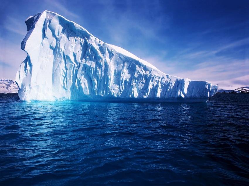 En Antarctique