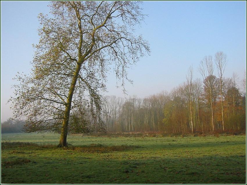 Couleurs d'automne