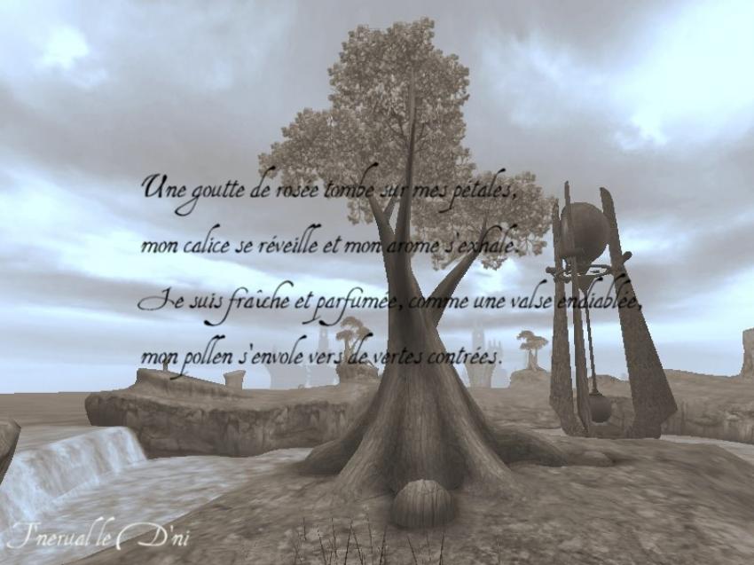 Saison