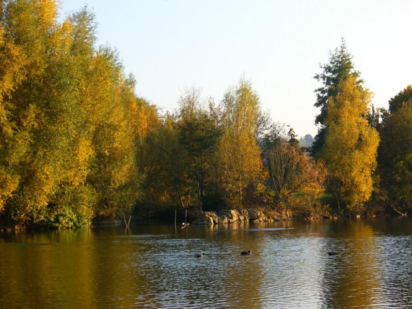Bords de l'Ill