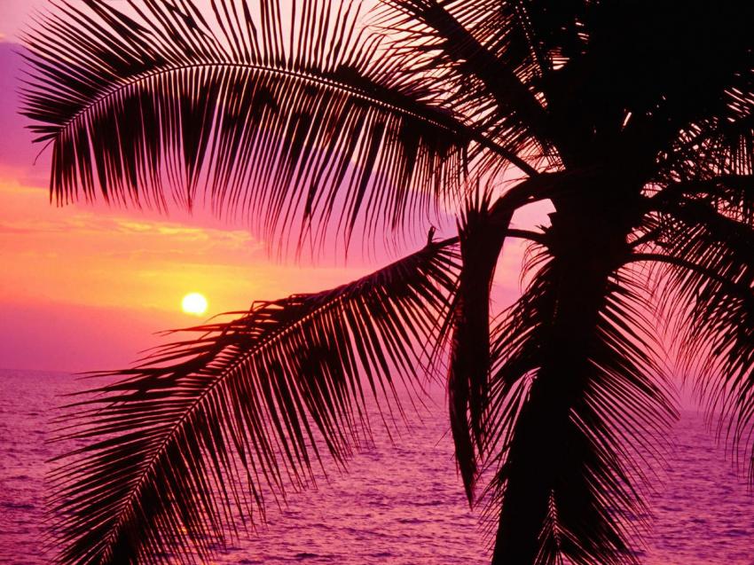 Coucher de Soleil