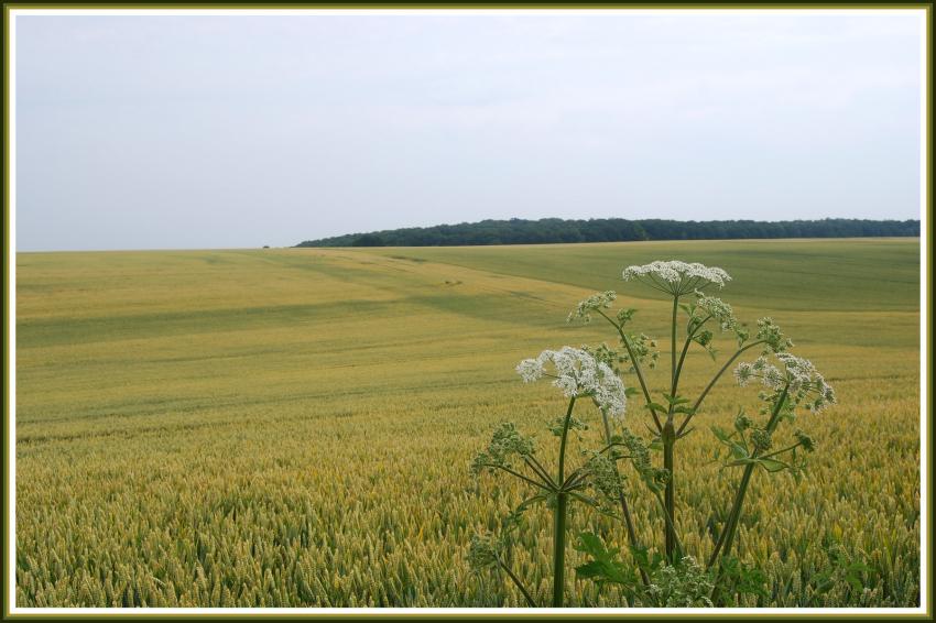 Et en Picardie