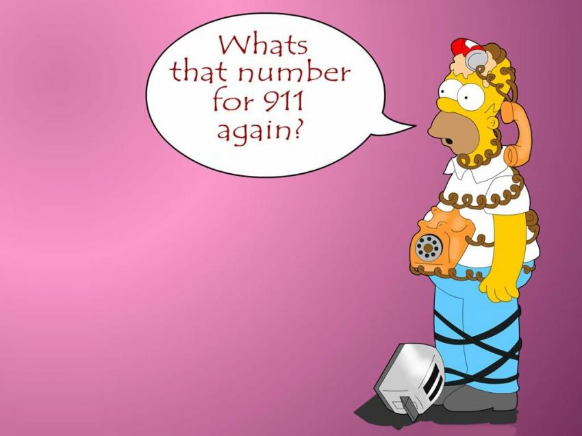 Homer - Les Simpsons