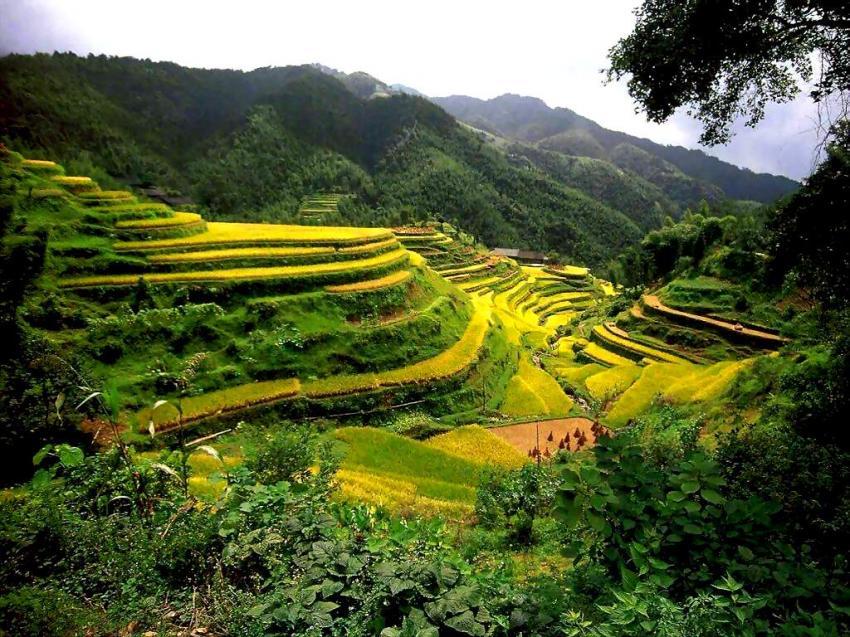  Guangxi - chine