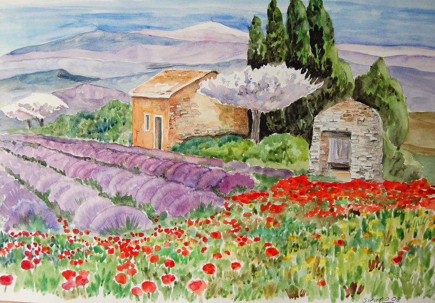 paysage de provence