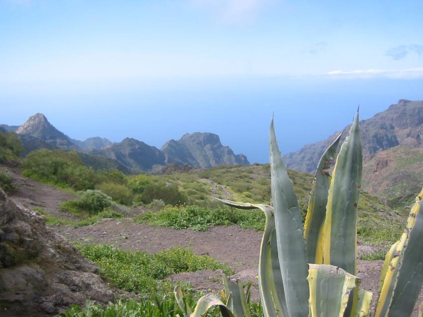 Alos  Masca (Tnrife)