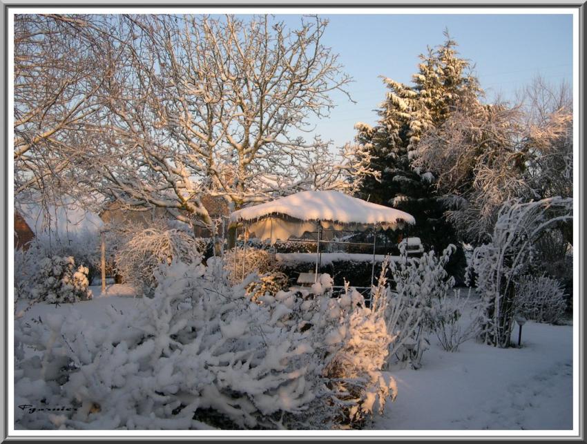 Jardin sous la neige.