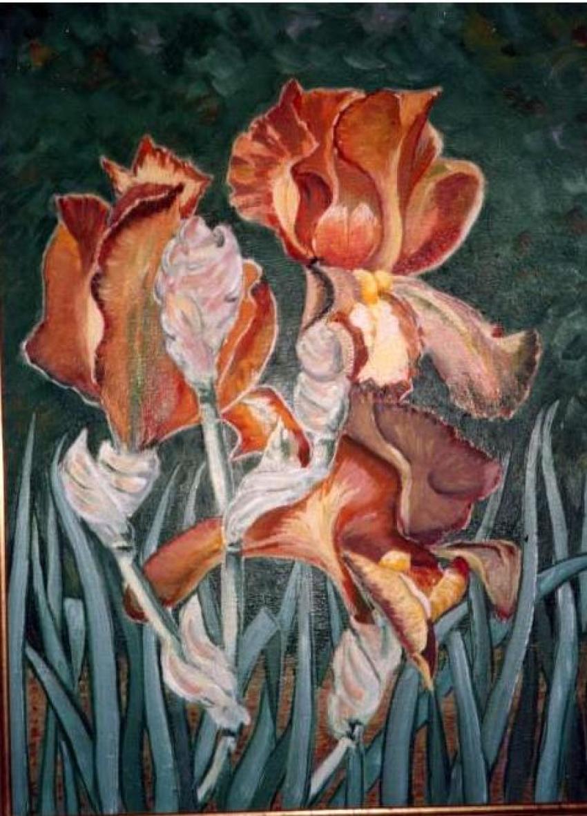 glaieuls rouges
