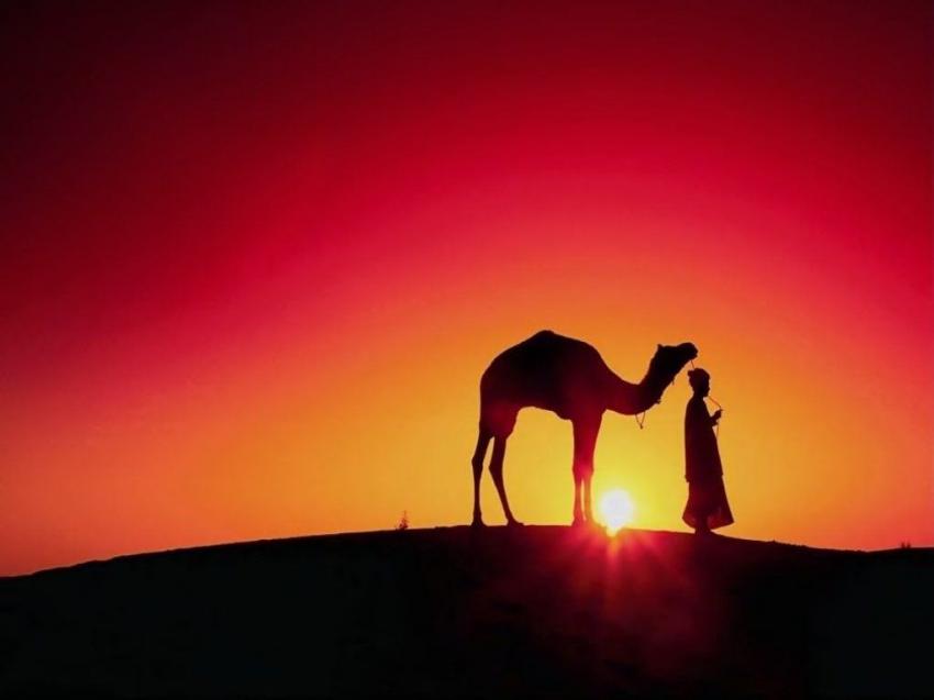 Desert