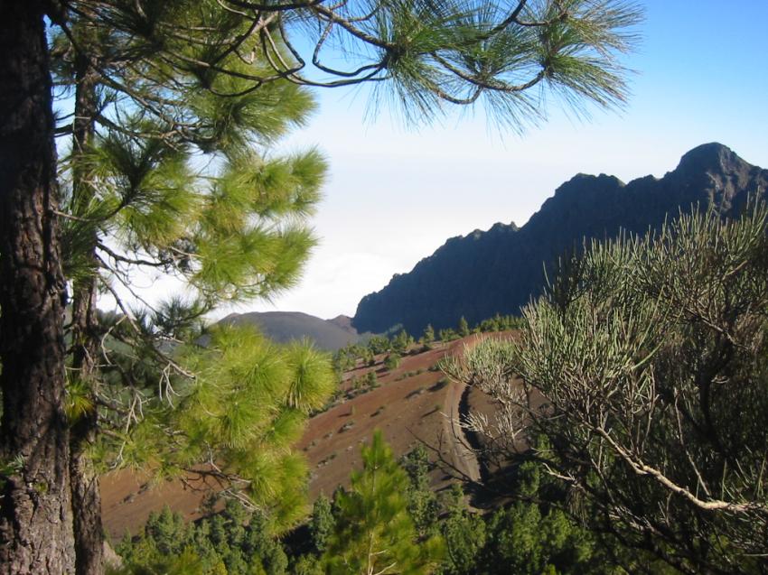 Massif du Tide (Tnrife)