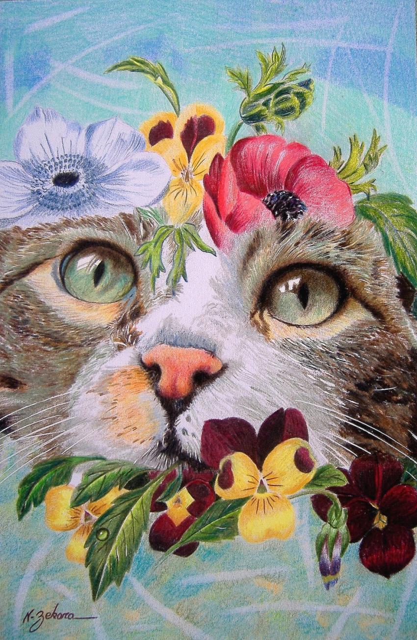 Regard de chat