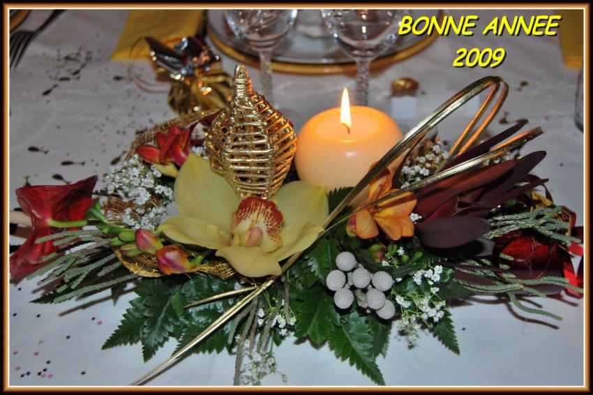 BONNE ANNEE A TOUS