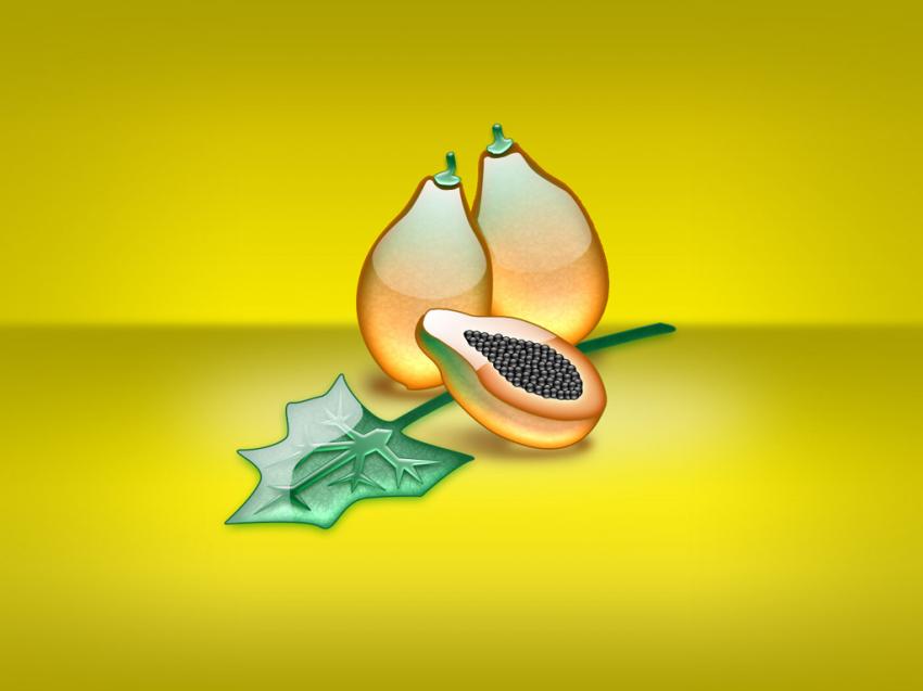 fruit