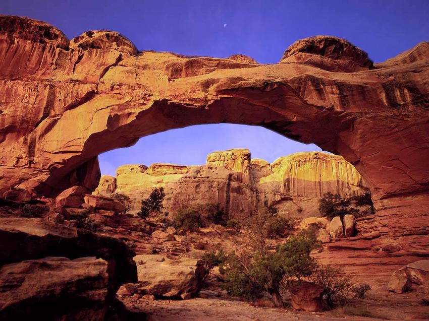 arche