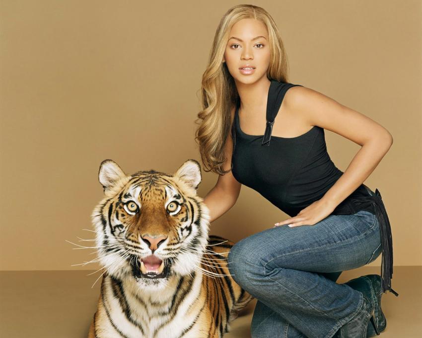 Beyonce - tigre