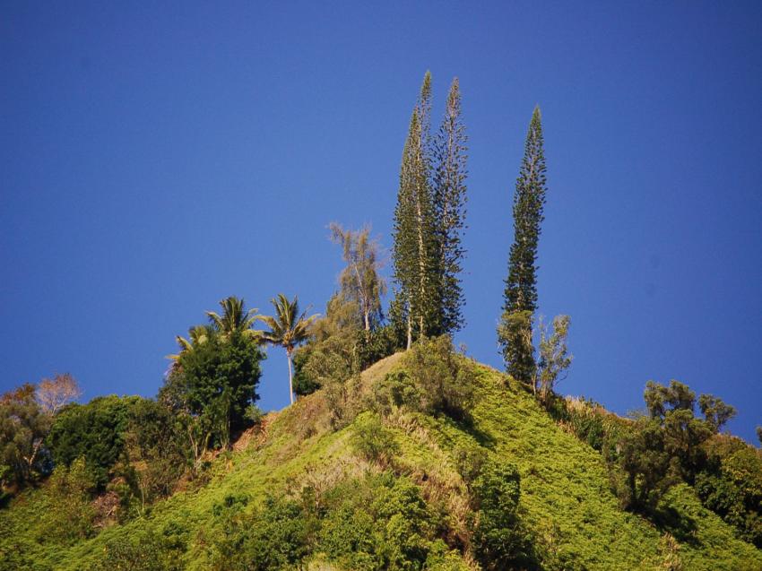 colline