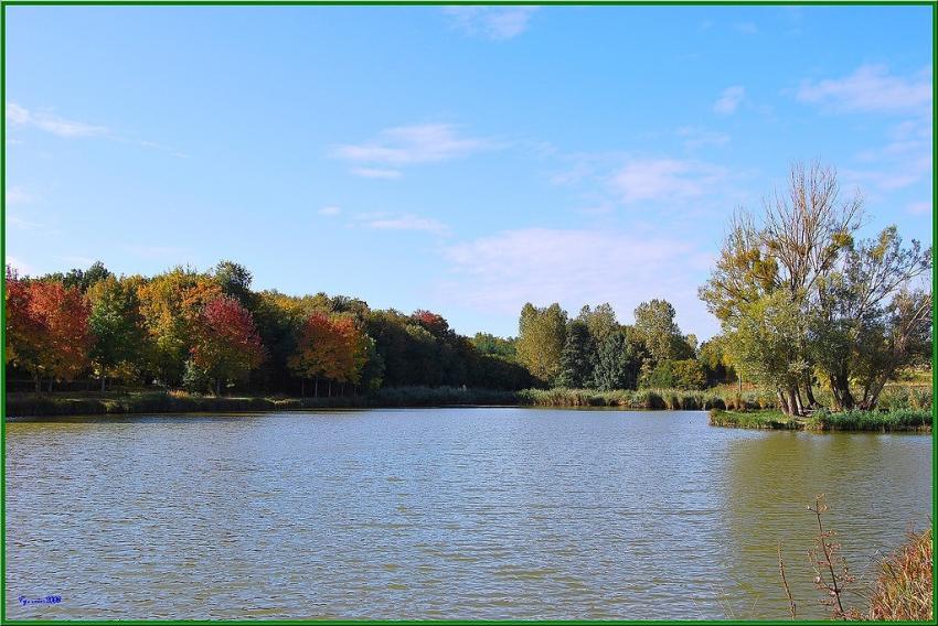 Etang de Montrouveau.