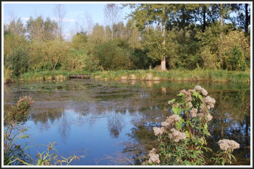 Etang de Clastres (02)