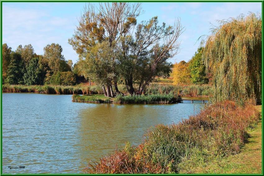 Etang de Montrouveau.