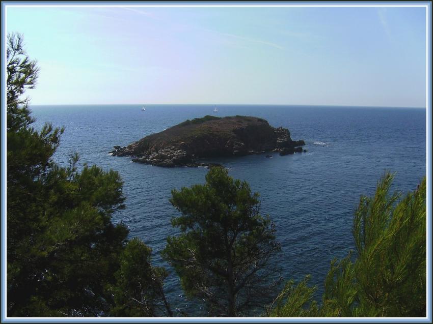 Bandol - Une le