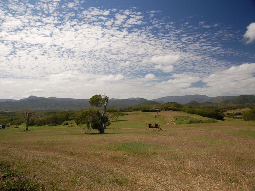prairie caldonienne