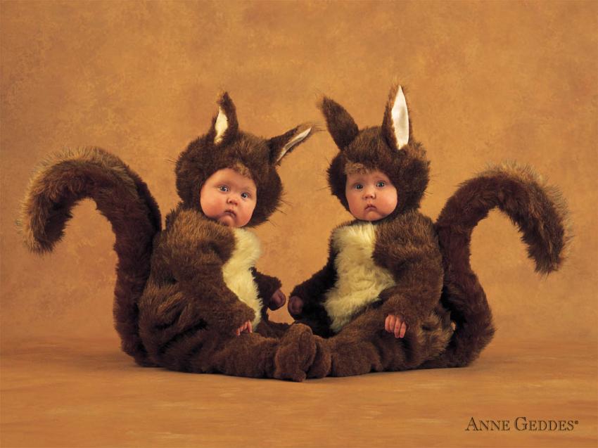 Anne Geddes