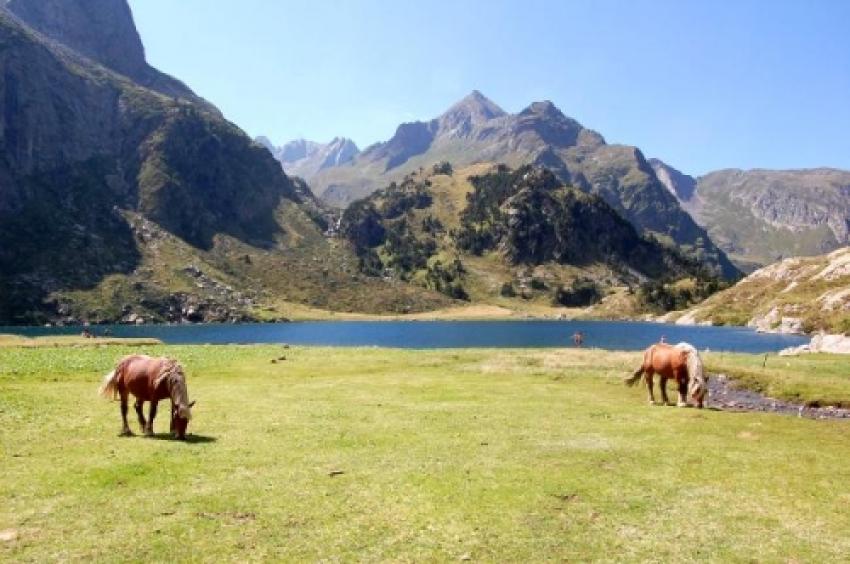 lac des pyrnnes