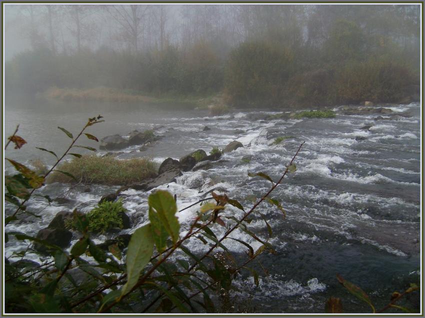 Brumes picardes