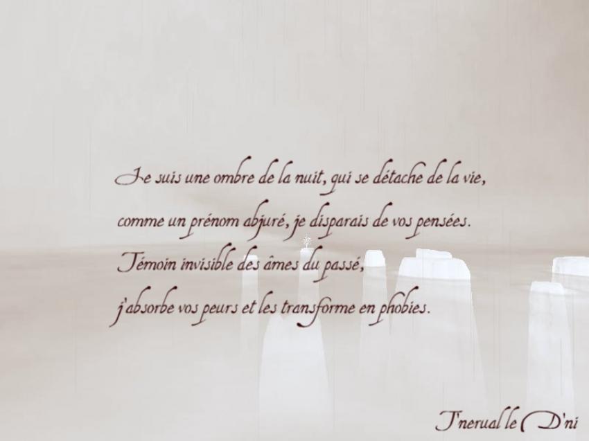 Ombres de la Nuit