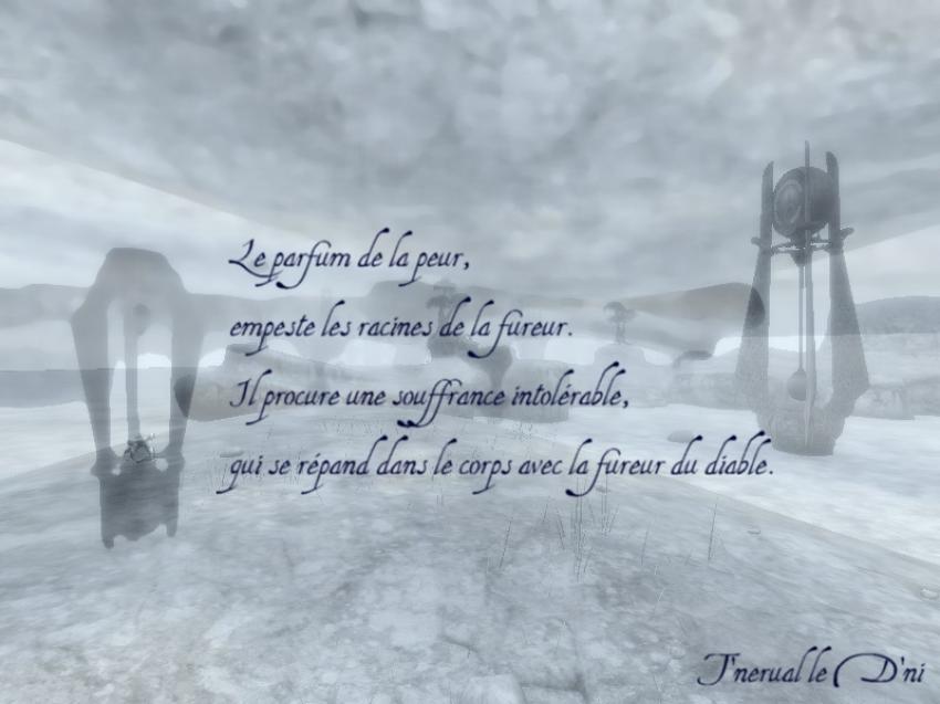 Le Parfum 
