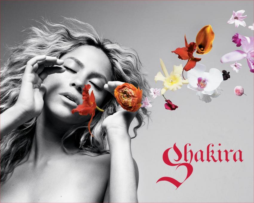 Shakira, Blowing Flowers Artwork