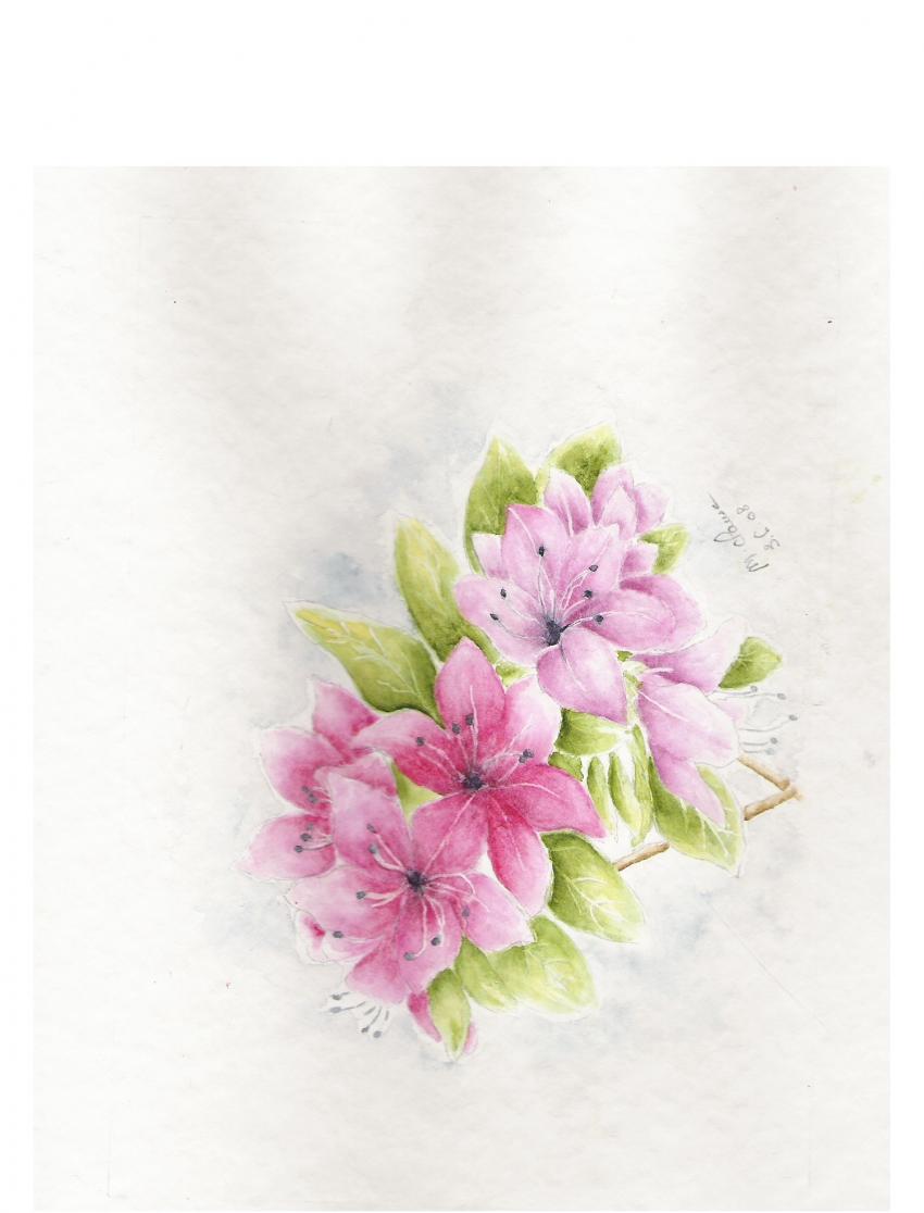 rhododendron