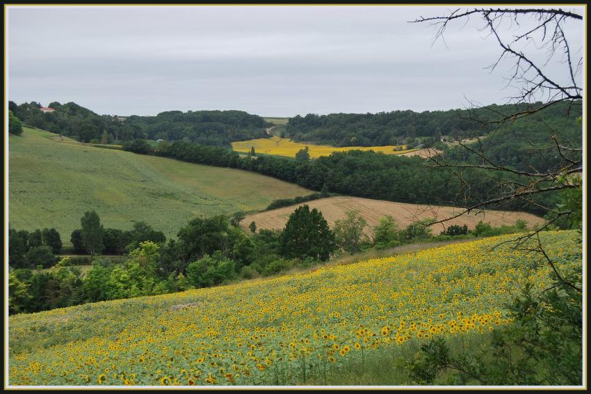 Paysage du Lot-et-Garonne