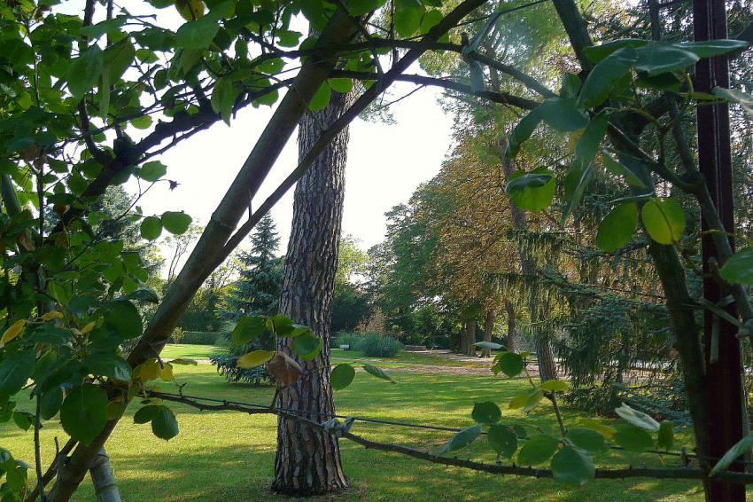 Un bien joli parc