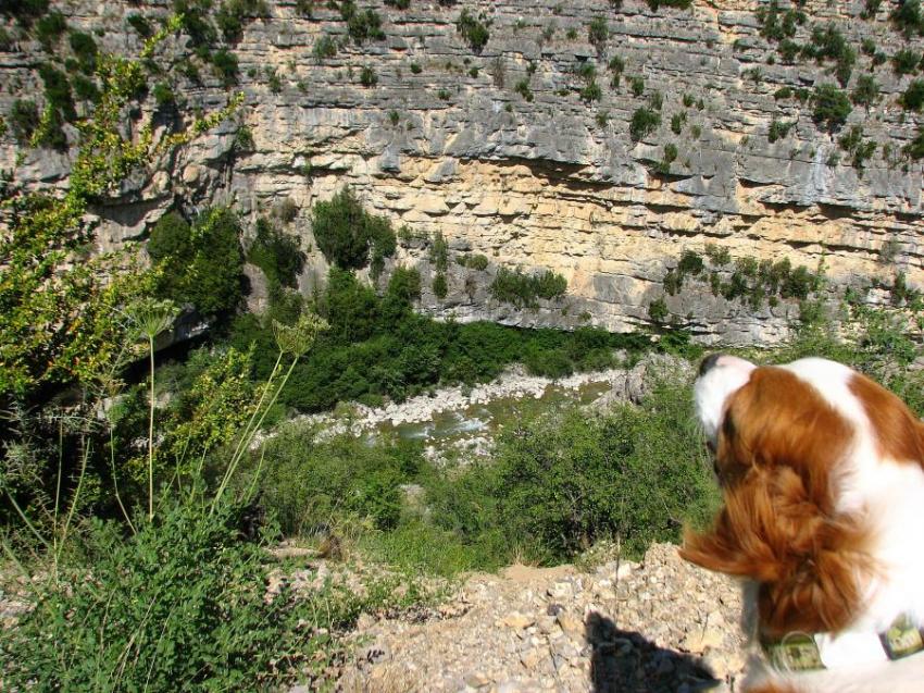 l'Eygue