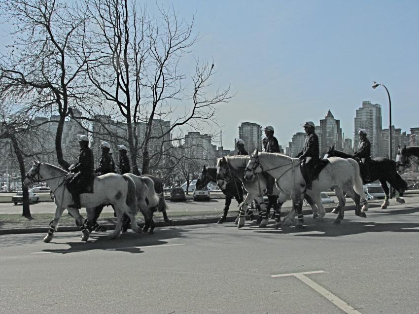 RCMP - Police monte de Vancouver -6-