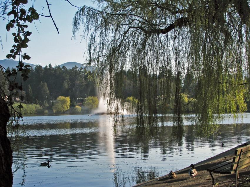 Lost Lagoon Vancouver